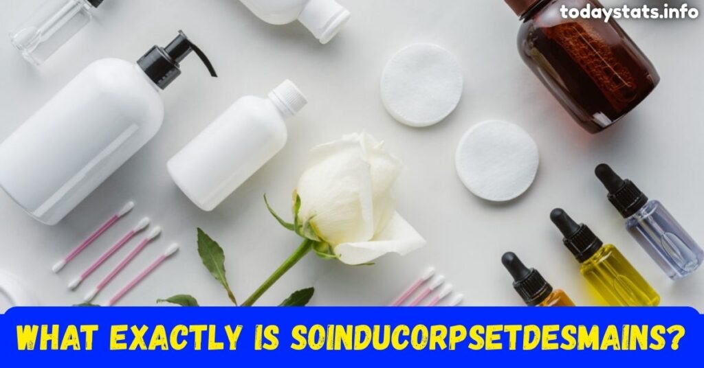Choosing the Right Products for soinducorpsetdesmains