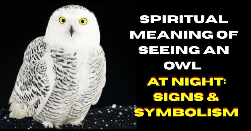 Spiritual Meaning of Seeing an Owl at Night: Signs & Symbolism
