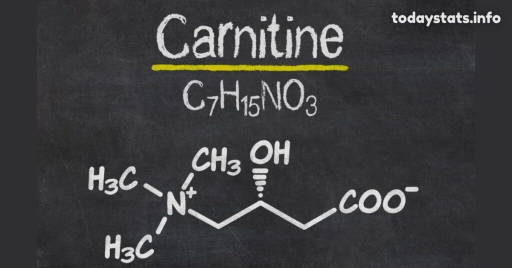 What Is L-Carnitine?